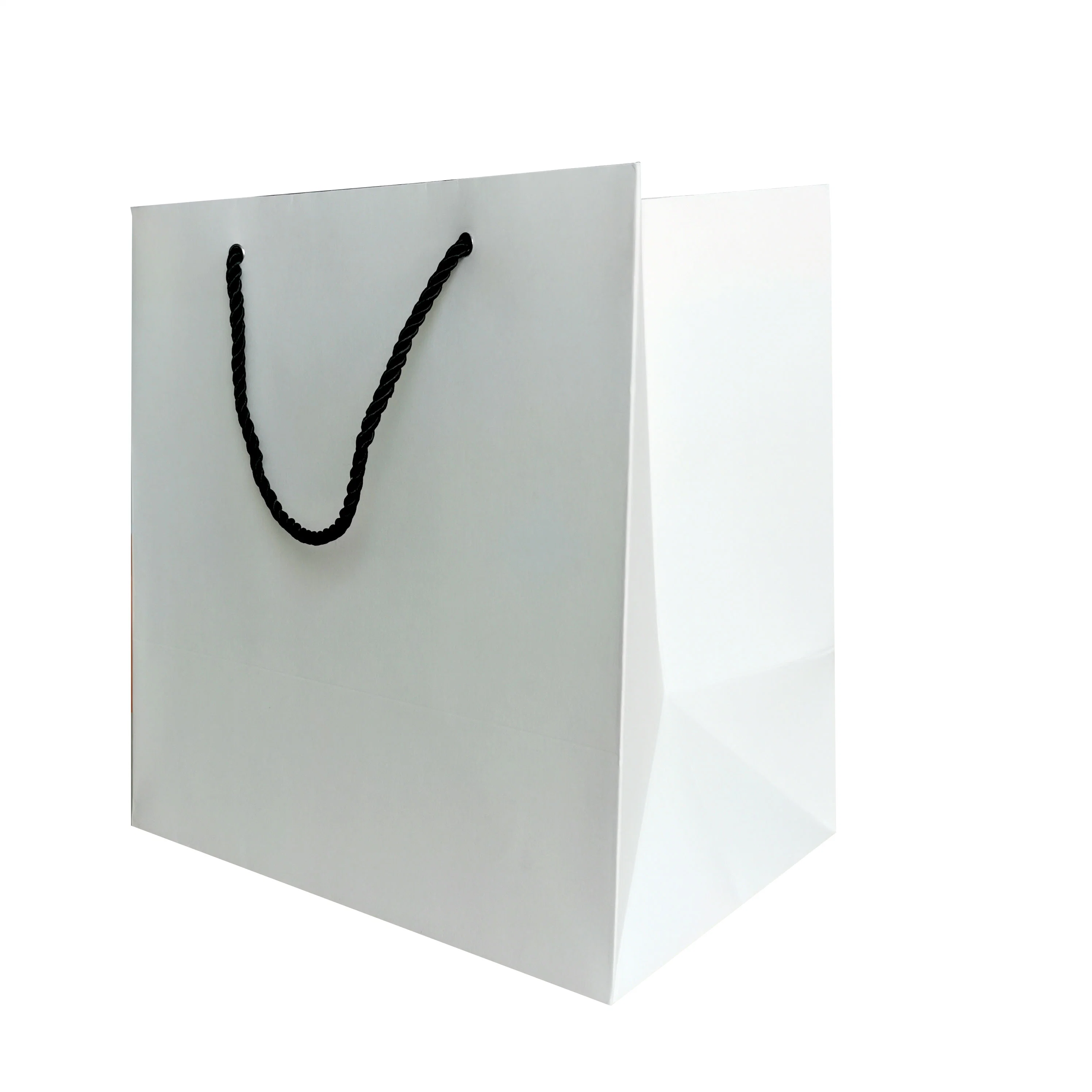 Hot Sale Offset Printing Craft Paper Bag for Flowers Chain Shop