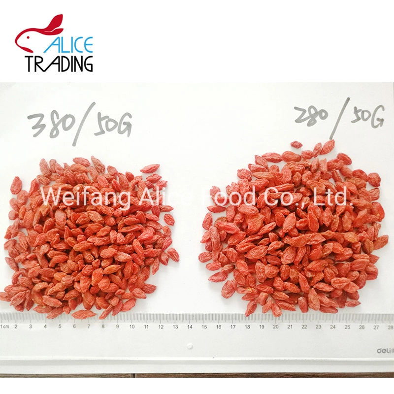 Wholesale/Supplier Health Food Dried Goji Berry Dry Goji 100% Natural Goji