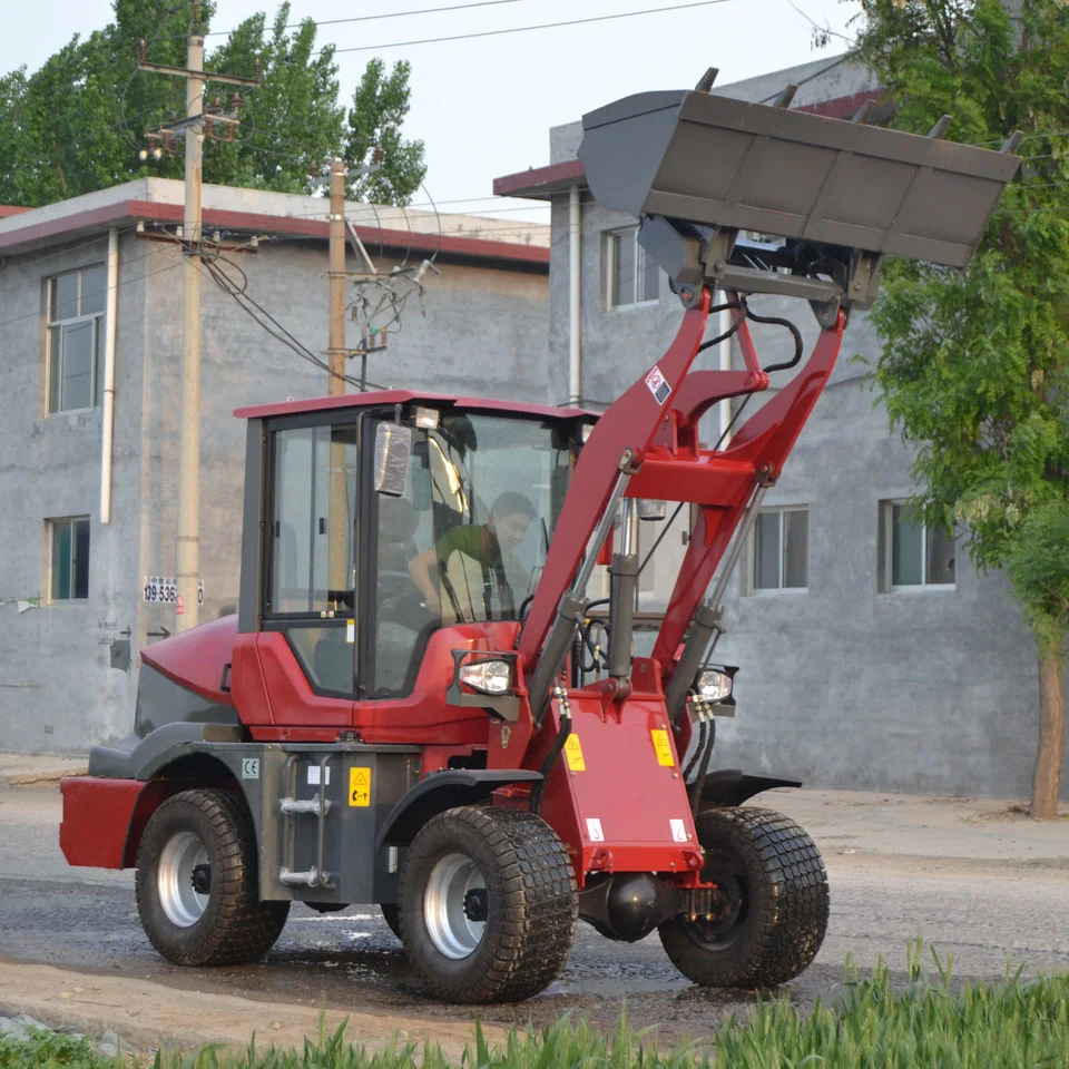 Zoonlech Skid Steer Loader Hohe Qualität Zszz China Berühmt Gut Leistungslader