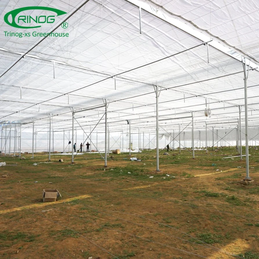 Agricultural HDPE Poly tunnel greenhouse with high quality for sale