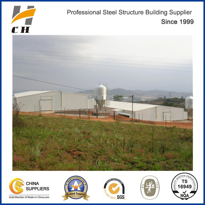 Prefab Low Price Light Steel Structure for Poultry Farm/Poultry Shed/Chicken Farm/Chicken Shed