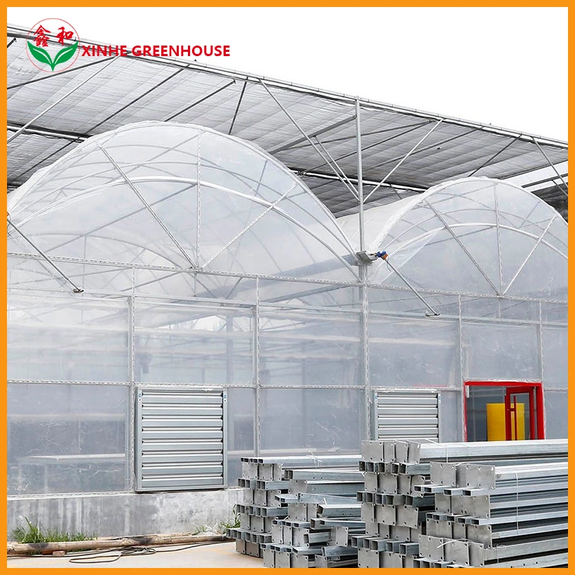 Structural Roofing Xinhe Standard Packing Container Customized Polycarbonate Multi-Span Greenhouse