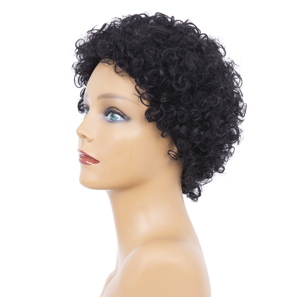 Pixie Cut Style Wig Brazilian Afro Kinky Curly Human Hair Wigs