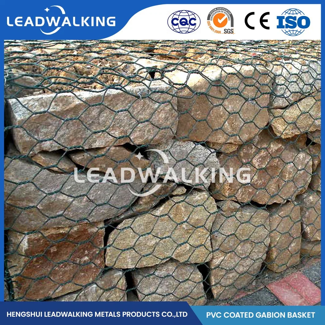 Leadwalking 2.0*0,5*0,5 Gabion de metal de tamaño de la fábrica de la jaula de malla con revestimiento de plástico Anticorrosivo Gabion Hexagonal China 60x80mm recubierto de plástico de malla Gabion Net