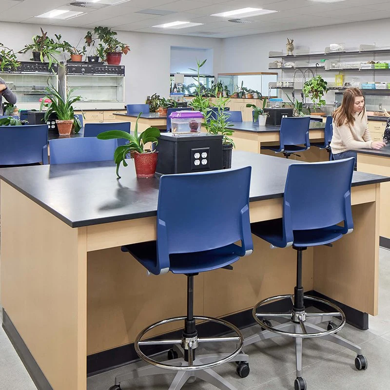 Больница Медицинская Производитель Дерево высокое качество Школа Биологическая стендовые Мебель Для лаборатории