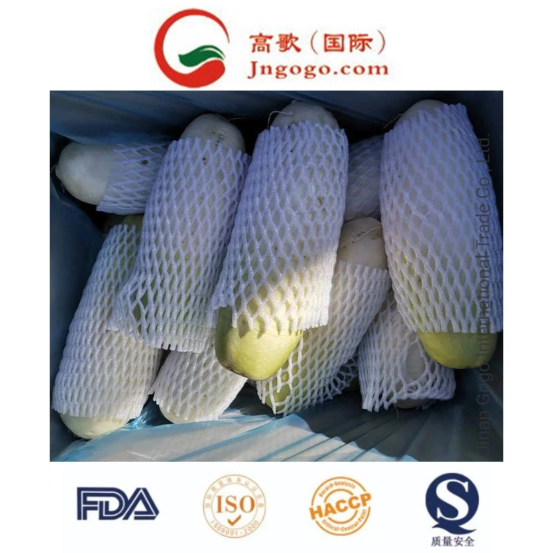 Top Quality New Crop Fresh White Radish Fresh Green Vegetables