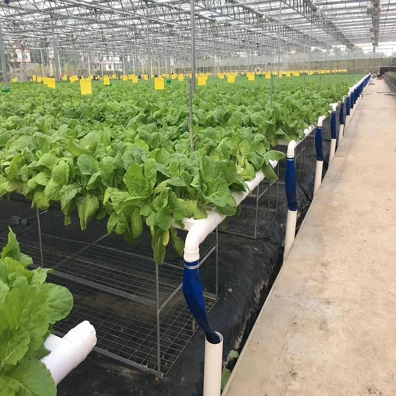 90X120mm Hydroponic & Nft Channel Gutter Equipment for Planting Lettuce