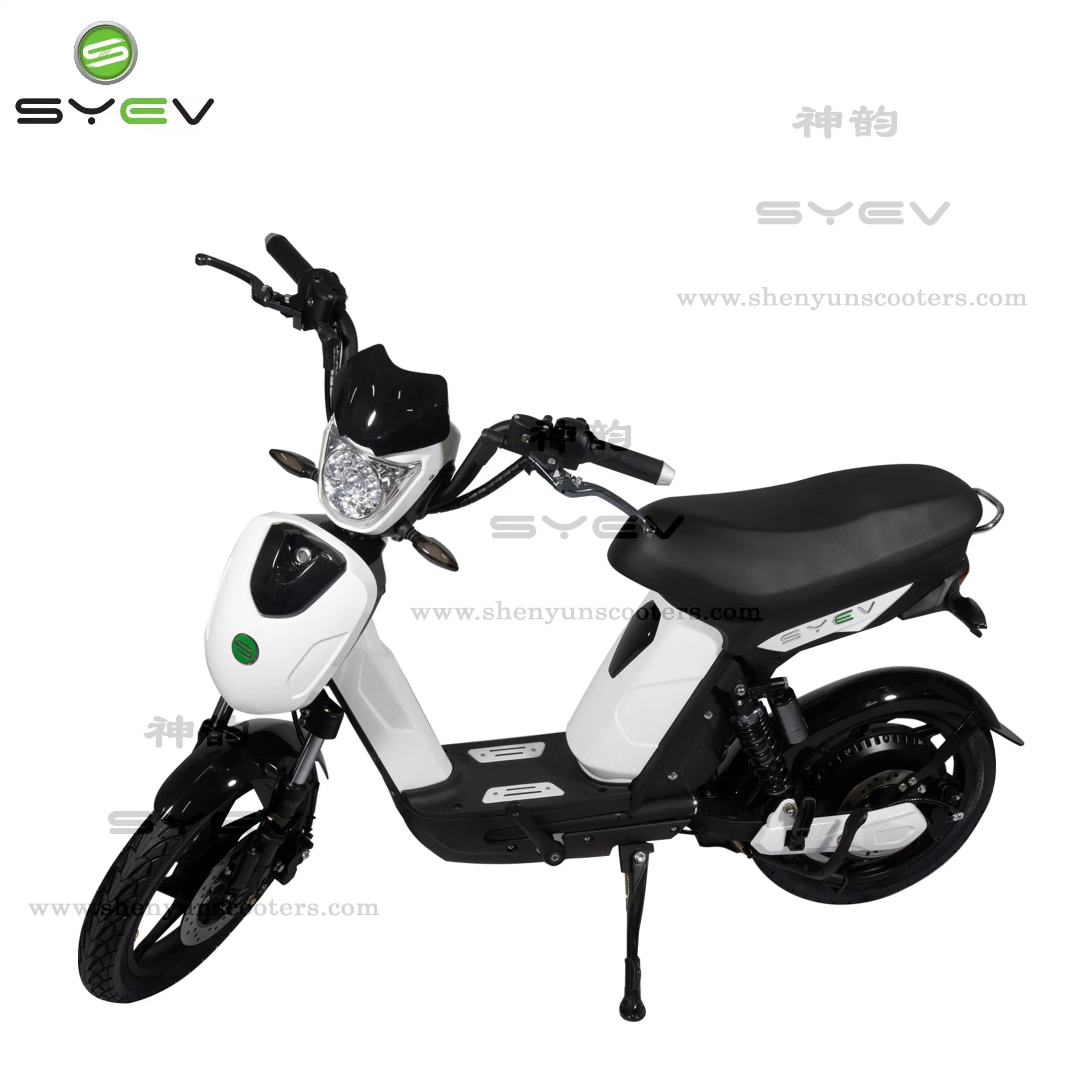 Elektromotorrad EEC E-Scooter 800W Brushless Motor für Erwachsene mit Tragbare Batterie Von Wuxi Shenyun
