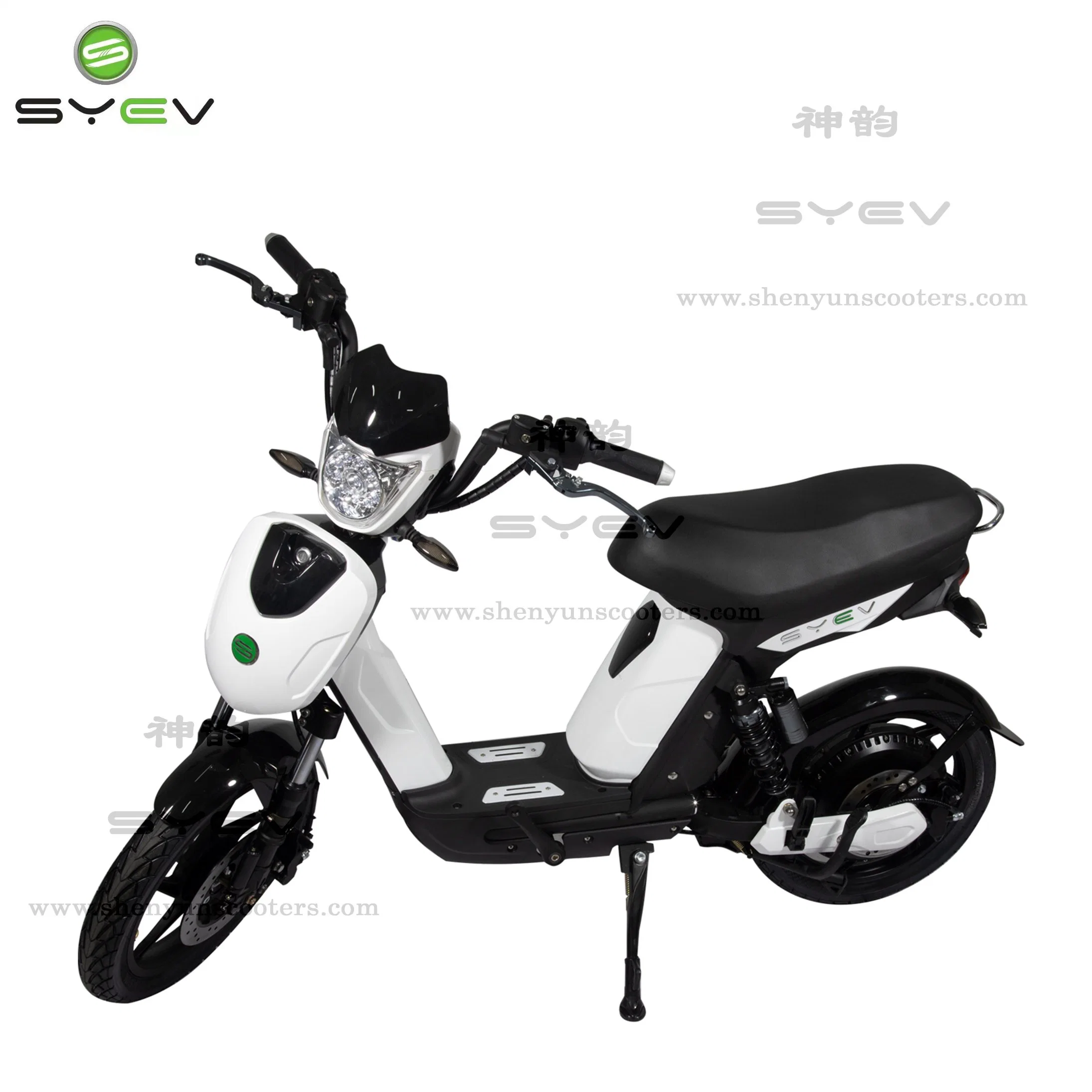 Motociclo eléctrico CEE E-Scooter Motor sem escovas de 800W para adultos com bateria portátil de Wuxi Shenyun