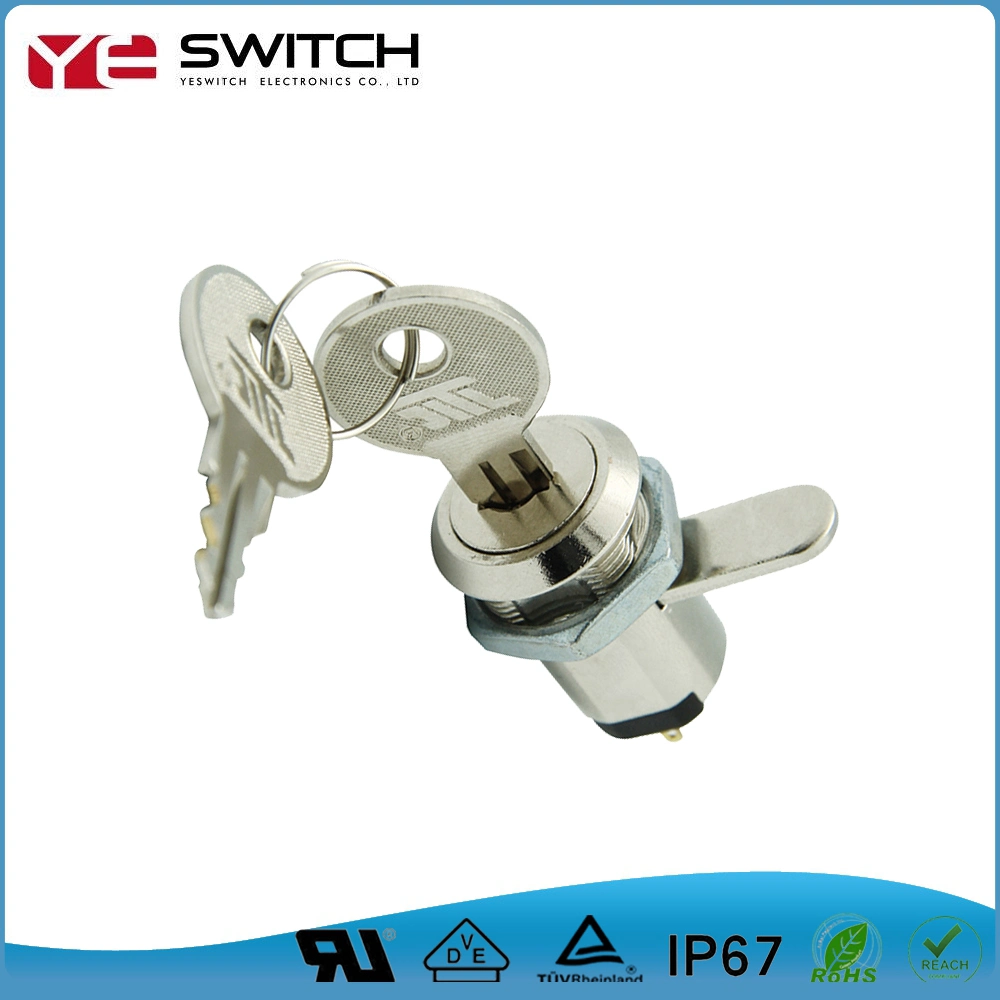 Dual Function Electronic Mechanical off on Key Lock Switch