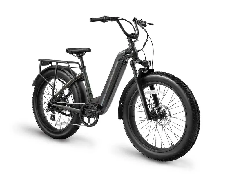 Nuevo producto de la bici eléctrica de la llegada Ranger Paso-a través de la bicicleta eléctrica
