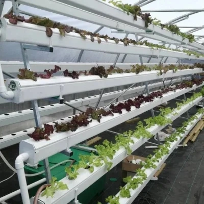 Greenhouse Hydroponics System Hydroponic Lettuce Hydroponic Plant Vertical Planting Rack Vertical Farm