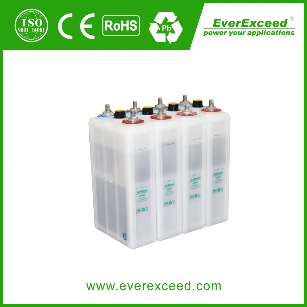 Everexceed Nickel Cadmium lange Lebensdauer-Speicherbatterie Wiederaufladbare NiCd-Batterie Paket