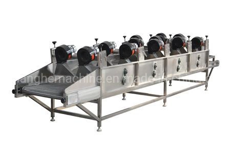 Fully Automatic Surfing Cleaning Equipment for Mountain and Wild Vegetable Processing Equipment