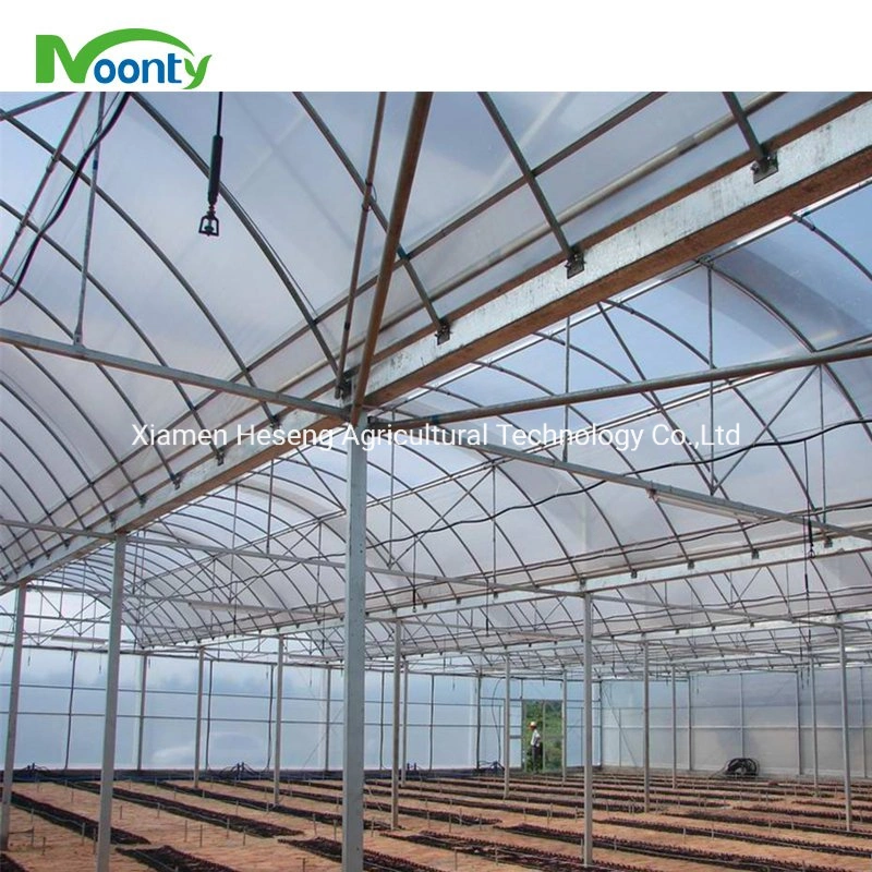 China Agriculture/Commercial Poly-Tunnel Plastic Film Greenhouses with Ventilation for Rose/Flower/Tomato/Pepper/Srawberry/Soilless Hydroponics Growing