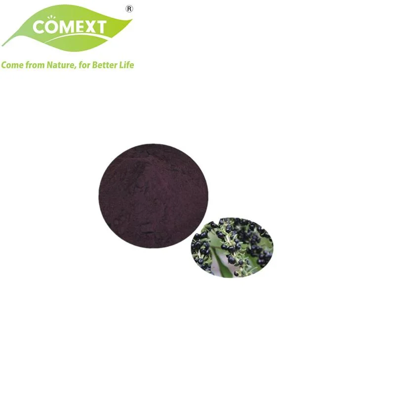 Comext Factory 100% Natural Product Black Wolfberry Extract 5% 25% Anthocyanin Powder Black Goji Berry