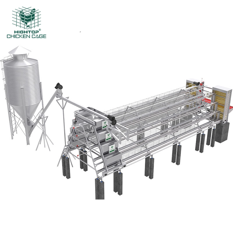 Hightop Turnkey Solutions A Type Automatic Poultry Laying  Hens Egg Layer  Battery Chicken Cages