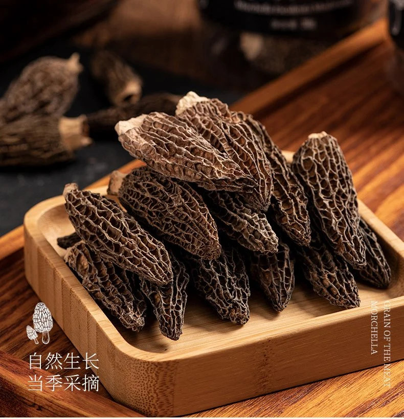 Dried Dong Chong Xia Cao Organic Cordiceps Dried Cordyceps Sinensis King Medicinal Mushroom