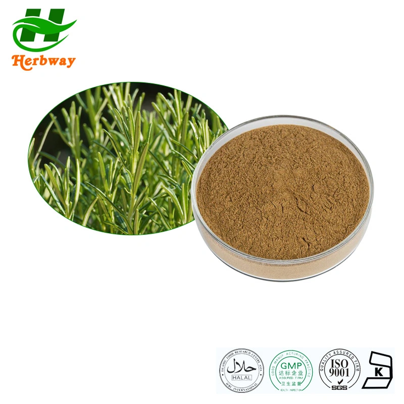 Herbway Herb Plant Extract Kosher Halal Fssc HACCP Certified Rosemary Extract