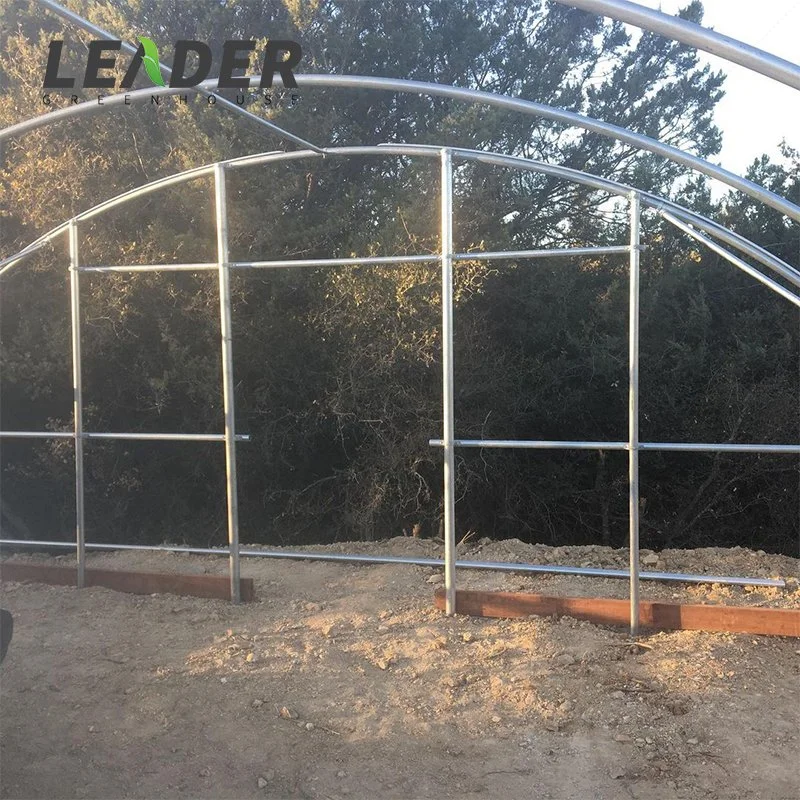 Economic Single Span 200 Micron Film High Poly Tunnel Greenhouse for Vegetable