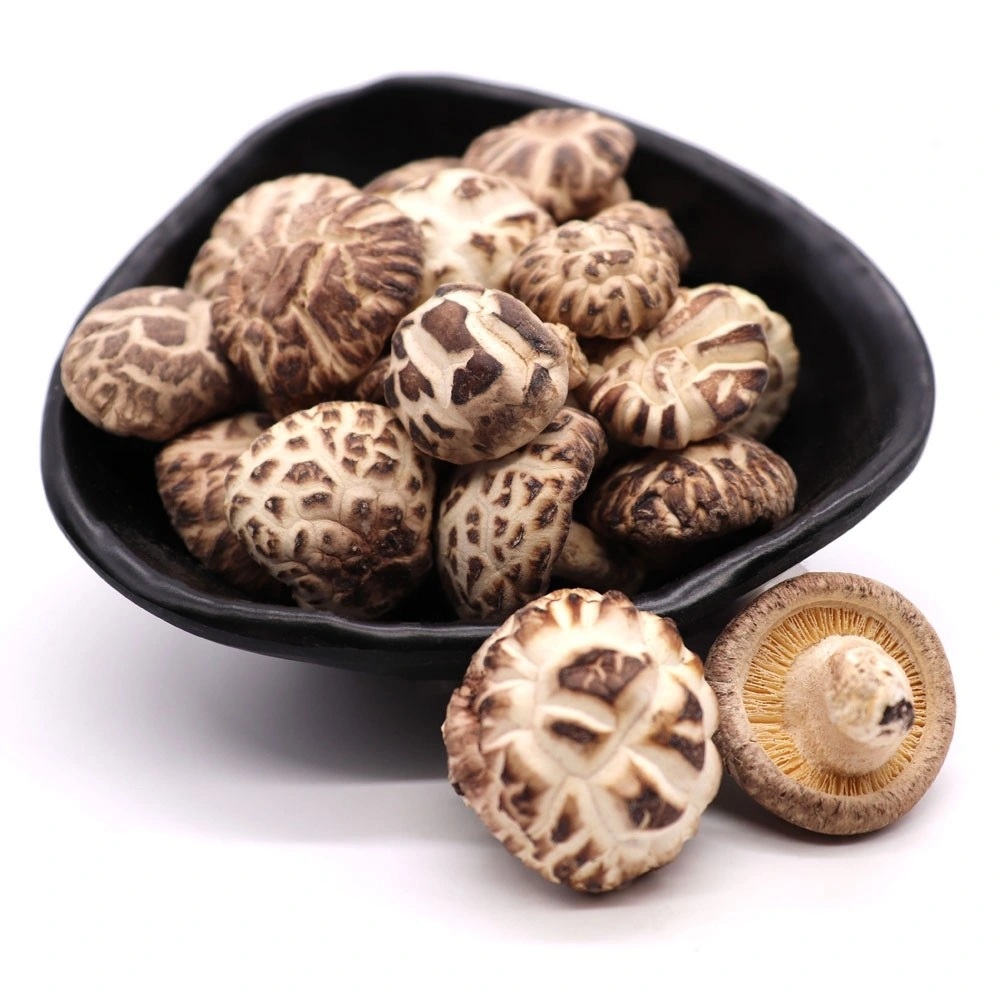 Chinese Tea Flower Mushroom Dried White Flower Mushroom