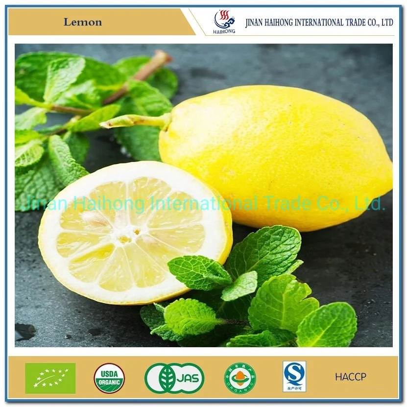 Lemon All Season Fresh Fruit Citrus Yellow Lemon