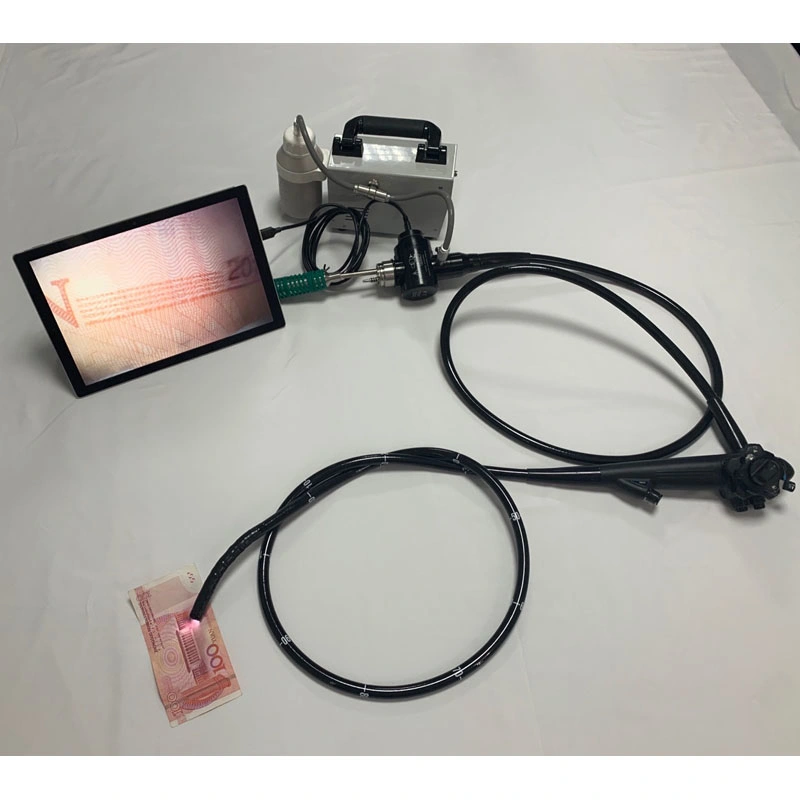 Vet Cheap USB Option Veterinary Gastro-Colonoscope System Price Flexible Video Gastroscope Colonoscope