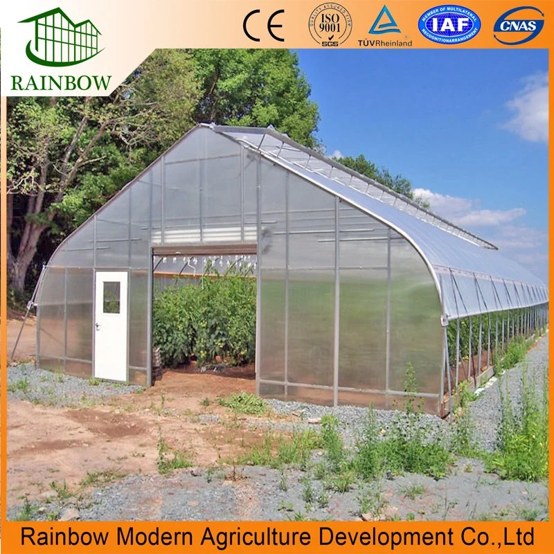 Single Span Film Greenhouse for Vegetable Growing System