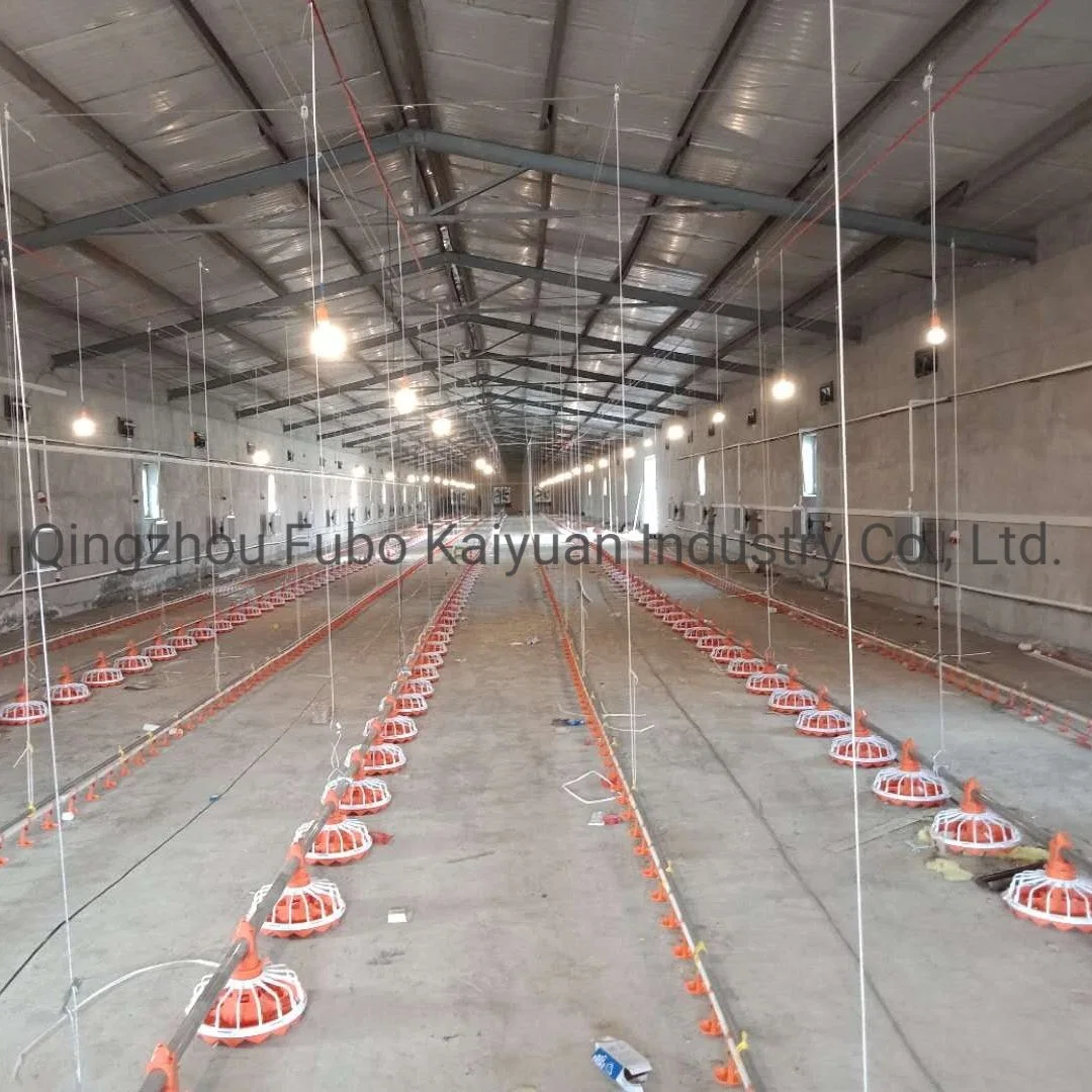 Full Automatic Broiler Chicken Farm System of Feeding Line and Drinking Line and Other Poultry Farm Equipment