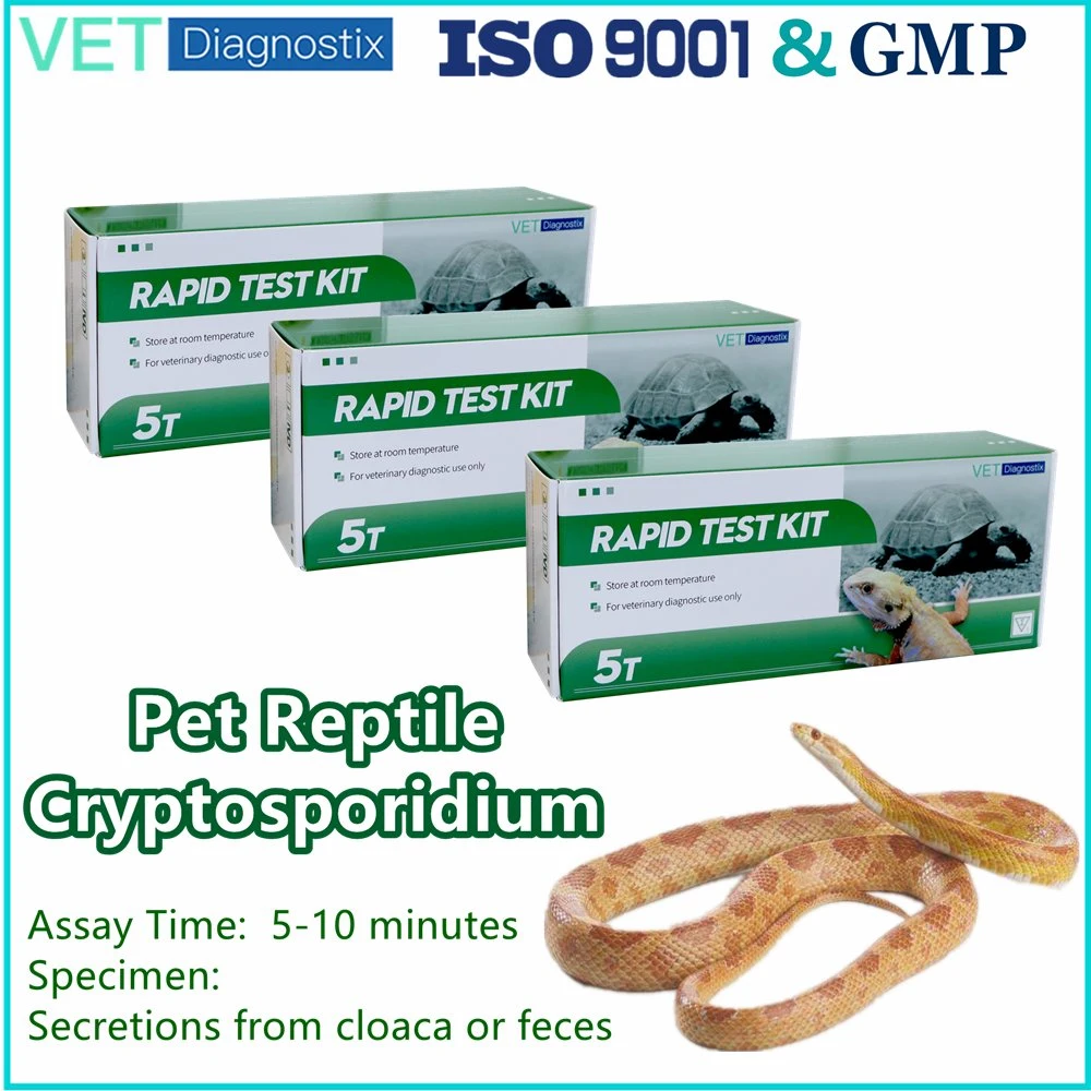 Test Crypto de serpent Cryptosporidium Antigen Test rapide