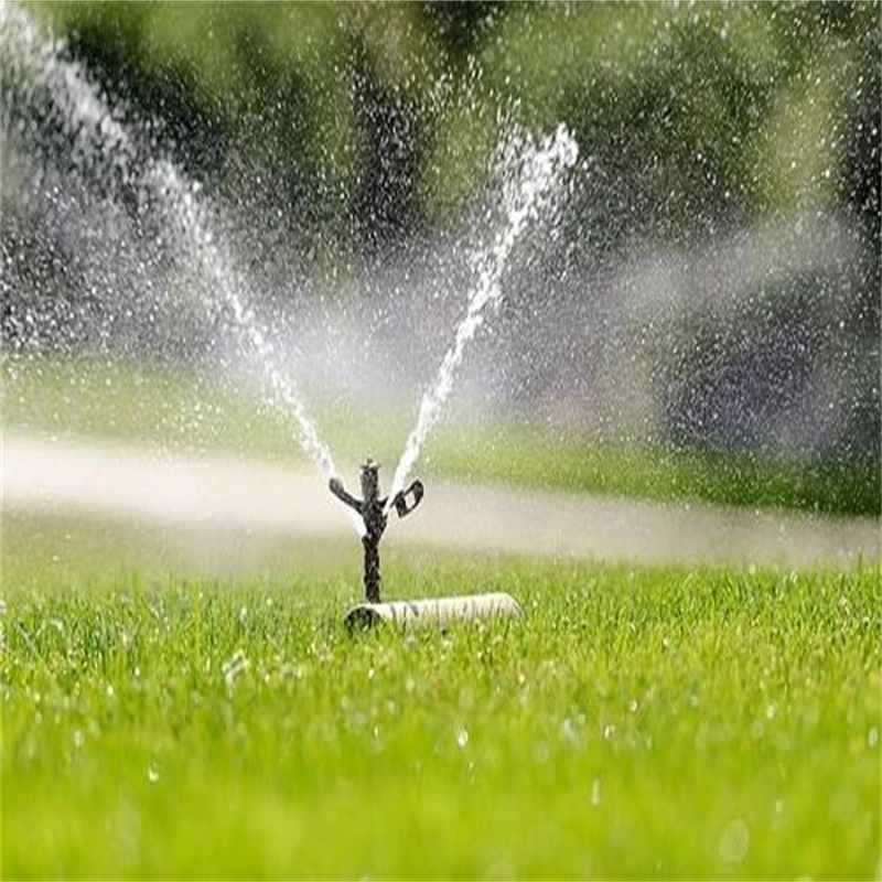 Garten-Bewässerungs 1/2 Zoll-Anschluss Kunststoff / Metall Rotate Sprühdüse / Gießen Rotierende Sprinkler im Betrieb im Senegal