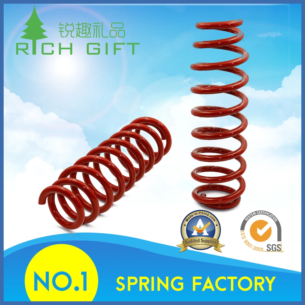 Variable Force Spring with Good Quality and Fast Delivery