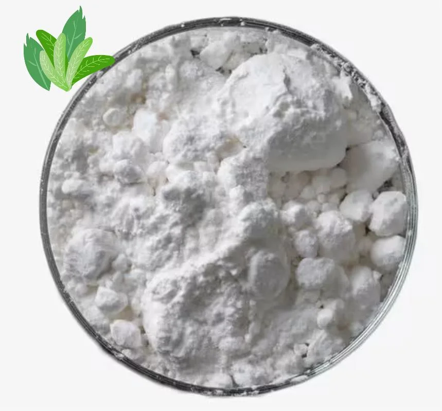 High quality/High cost performance  Nootropics 99% Powder Pramiracetam CAS 68497-62-1