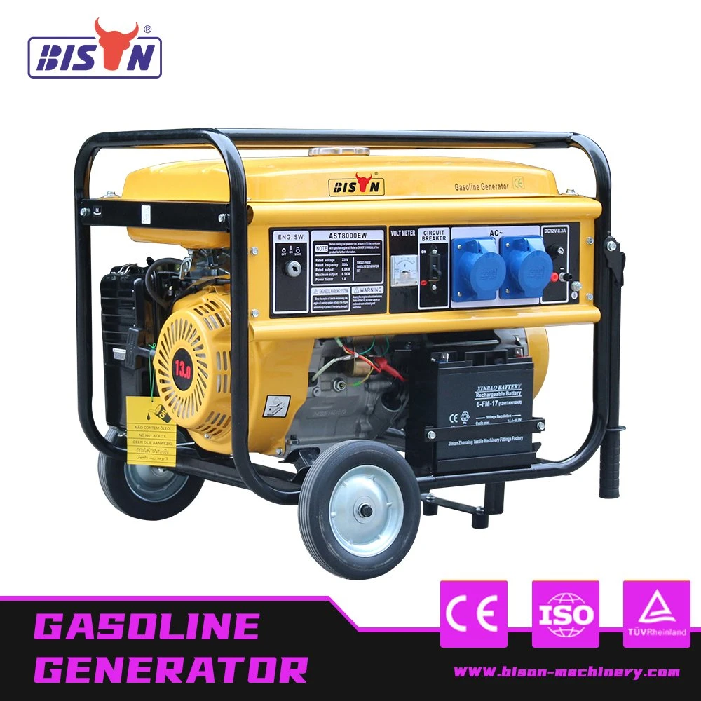 Bison 5kVA 5kw Home Small Portable Power Generator Price BS390 Engine Gas Gasoline Power Generator