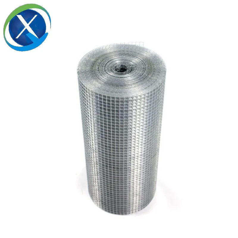 Galvanized Steel/Stainless Steel 1/2 Inch 4X50FT Roll Square Mesh PVC Coated Gi Wire Welded Metal Wire Mesh