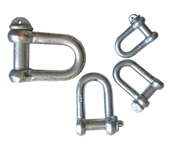 Forged D Type Anchor End Shackle