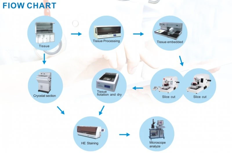 Tissue Processor - Automatic Tissue Processor-Tissue Hydroextractor-Histopathology Instrument