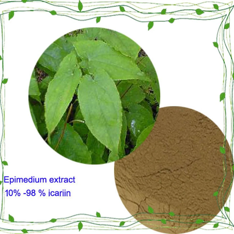 Epimedium Extract Price Icariin 10 % 50 % 98 % Plant Extract