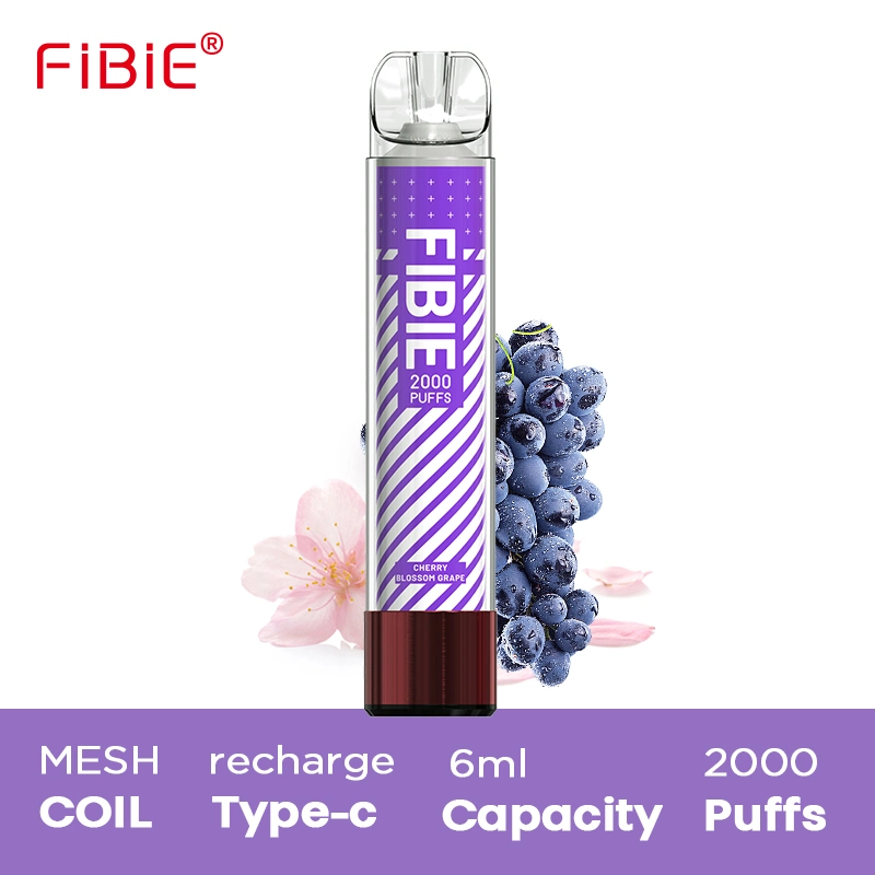 Wholesale/Supplier 2000 Puff Shipping Germany France Poland Kuwait Saudi Arabia Ebay Best Price Elf Mini Online Bulk Purchase Disposable E Cig Free Sample