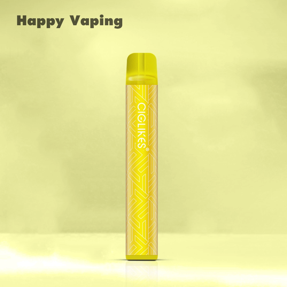 2023 New Product in The Market 0 Plastic Design Pd1 Eco-Friendly 1688 Wholesale/Supplier Guangzhou Electronic Cigarette