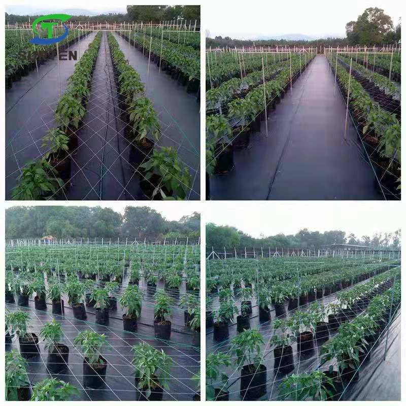 Preto/Verde/Branco 50% Virgem de PP/PE/Plástico Tecidos de controle de plantas daninhas produtos/Fabric para Agricultura/Jardim/paisagem