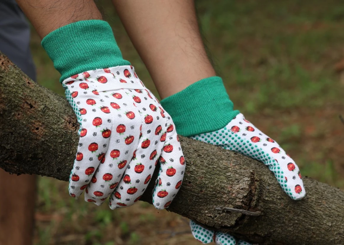 Ökonomischer Gartenarbeit Baumwollarbeit Handschuh für Dame Gartenarbeit Gebrauch