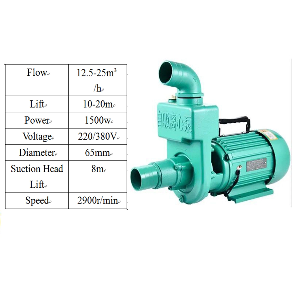 Elektrische Wasserpumpe Mit Selbstansaugenden Oberflächen Für Flachwasserbrunnen