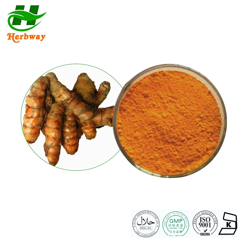 Wholesale/Supplier Price Improving Blood Circulation Curcuma Longa Linn. Turmeric Root Extract Powder