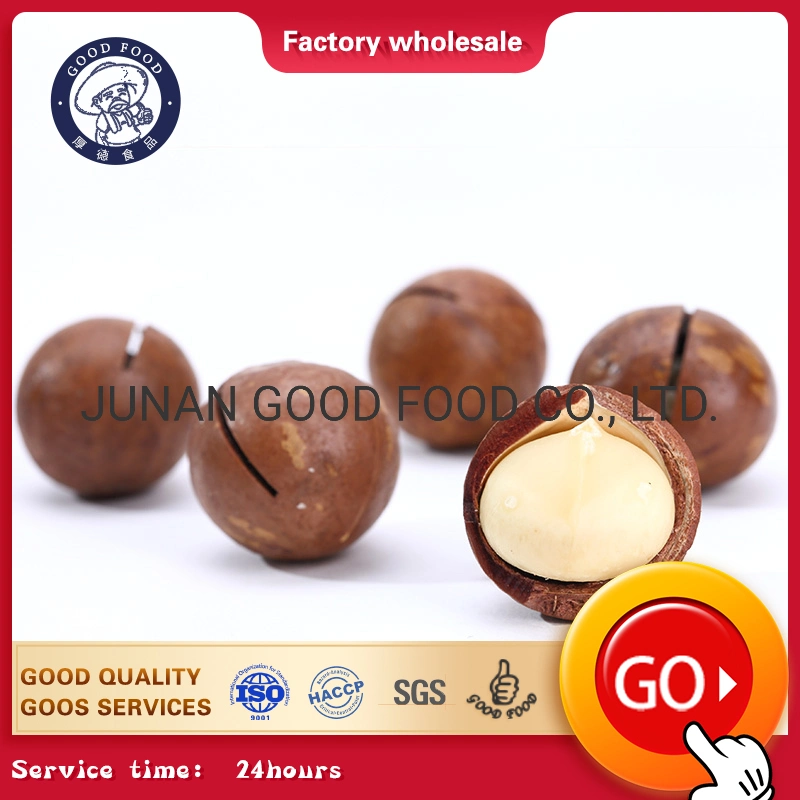 Raw Organic Chinese Macadamia Nuts with Shell and Without Shell Wholesale Macadamia Nuts Raw