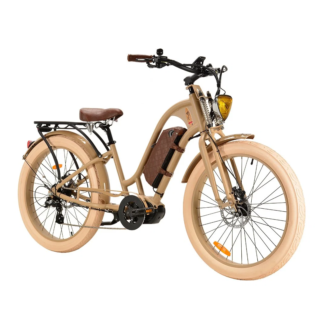 2023 Mid Drive Motor Electric Bike Beach Crusier Ebike