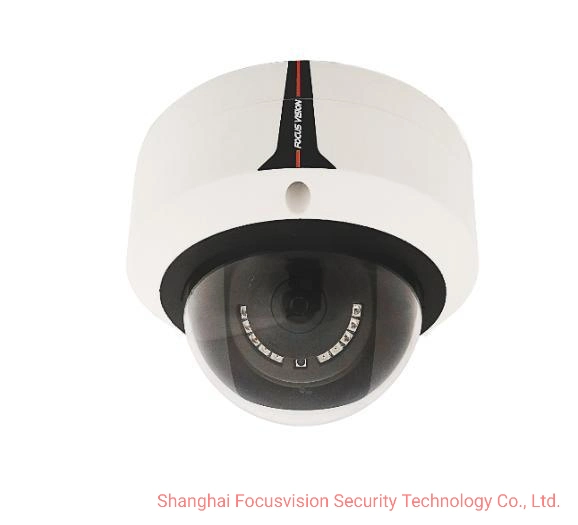 4MP HD Colorvu Face Detection Waterproof IP Dome CCTV Security Surveillance Network Video Camera