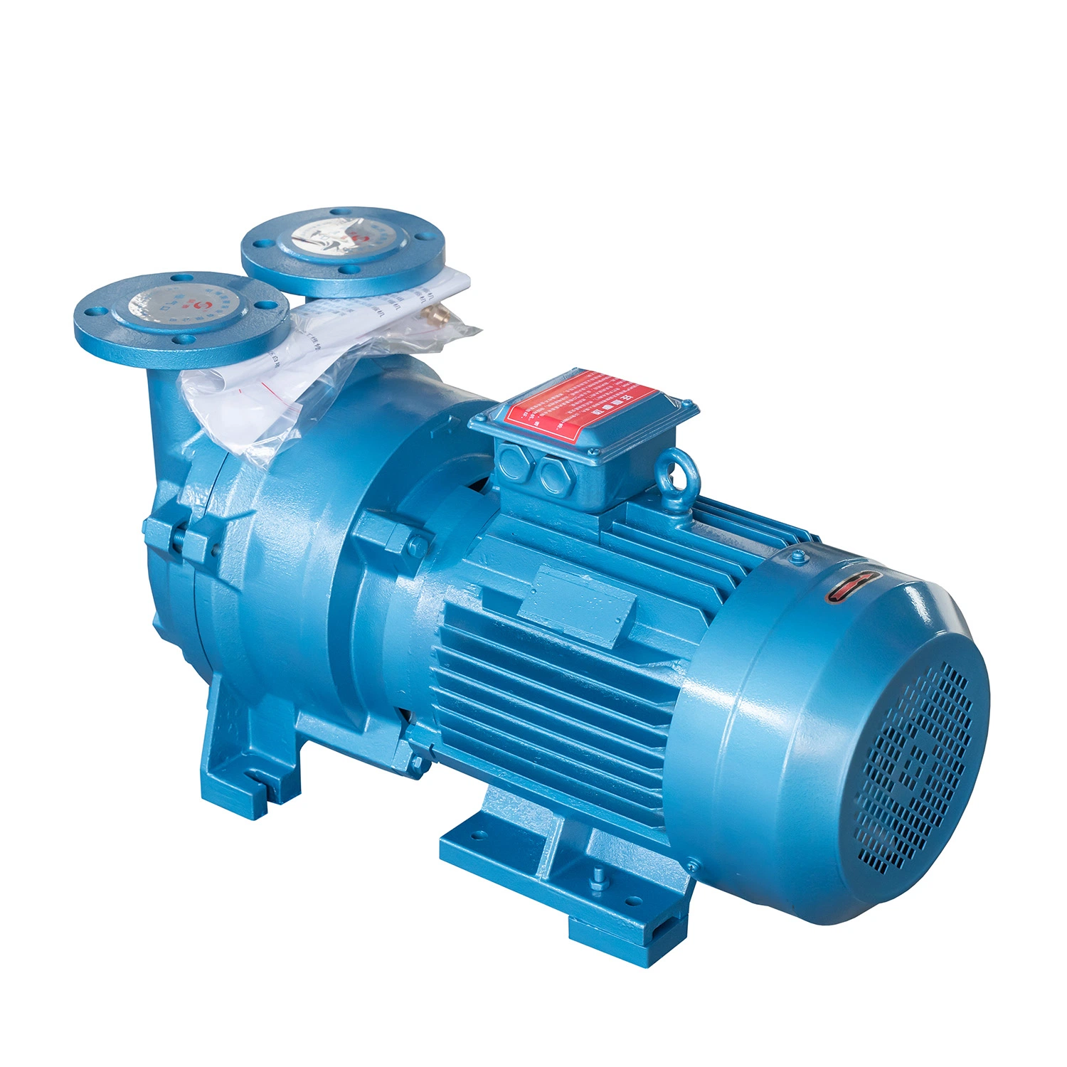 2BV-5161 Single/Two/Double Stage Liquid-Water-Ring Vacuum Pump in China (System)