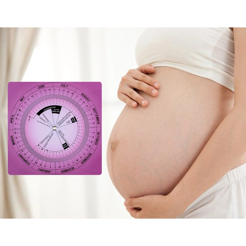 Pregnancy Due Date Calculator Wheel