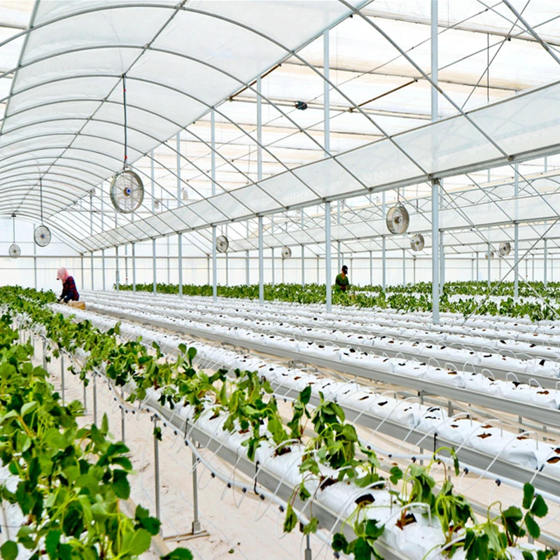 Los materiales de construcción de invernaderos tipo túnel comercial Arch para plantar los melones de miel/cantalupos